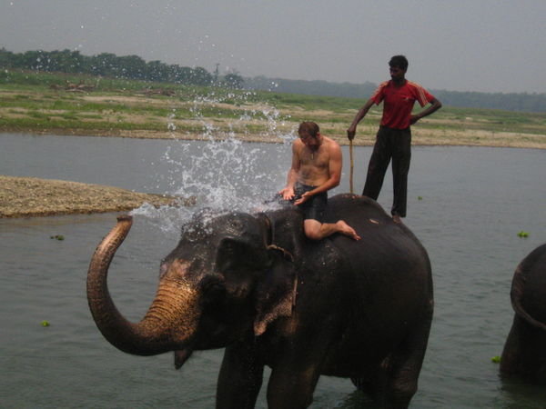 Bathing with an elephant in Royal Chitwan National Park