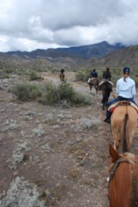Horseriding in the foothills of the Andes