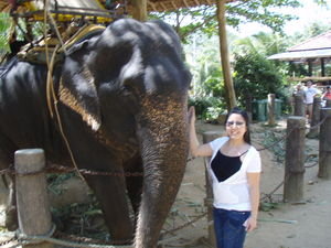 Vi with elephant