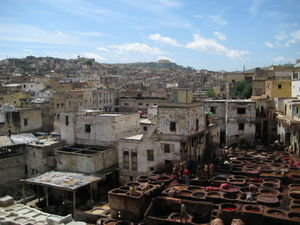 the tannery and the city