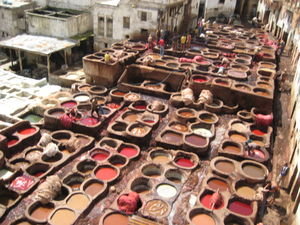 zoom of the tannery