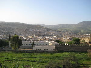 view of the whole medina