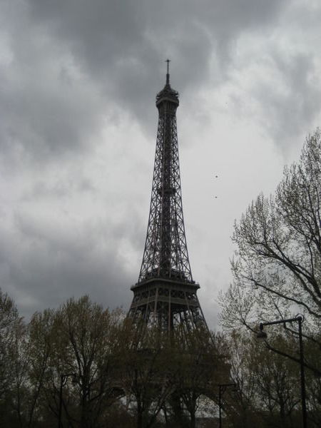 eiffel tower with some trees