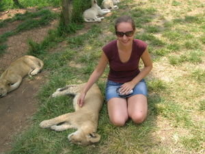 Lauren stroking a lion