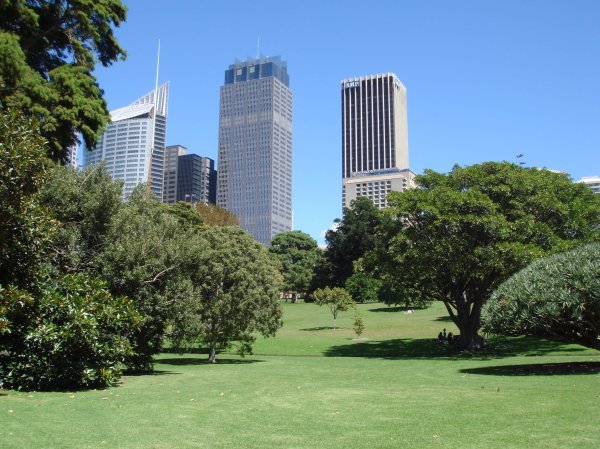 City buildings from the gardens