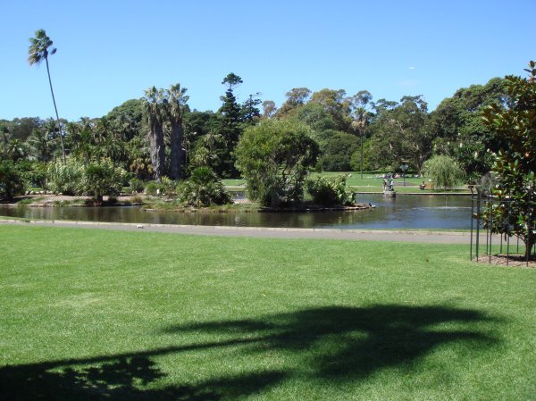 The largest lake in the gardens