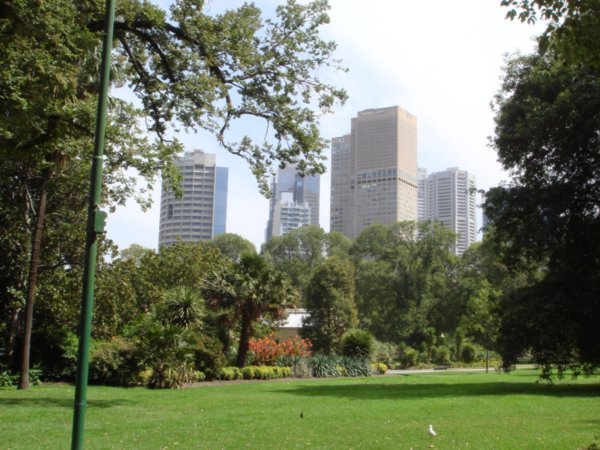 View of the city from the gardens