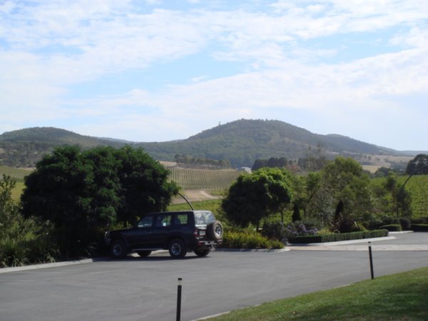 View of their vinyards