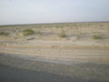Desert Driving Day 4