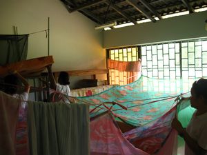 Setting up mosquito nets