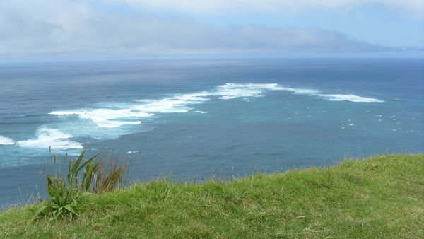 Cape Reinga - Where both oceans meet
