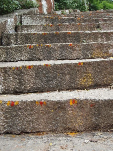 Tikka'd steps
