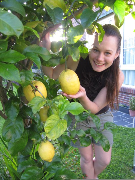 Massive Lemons