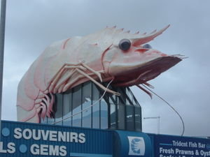 the "big prawn"