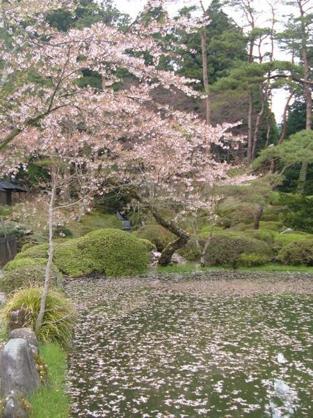 tosho-gu's front garden