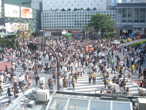 Shibuya crossing, the biggest one in Japan