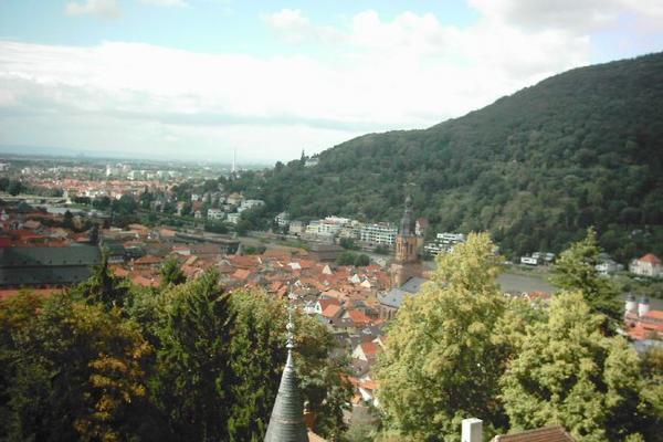 Necker valley in Heidelberg