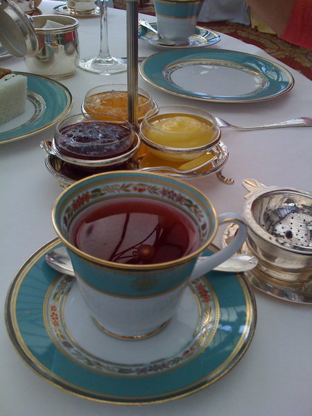 Patagonia Tea