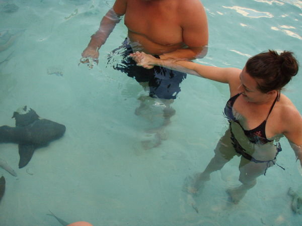 Melissa and Hank with the Sharks