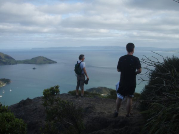Overlooking Whangarei Bay, from the top of Mt Manaia