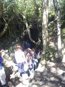 Piling into the Ranigitoto Caves