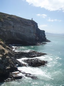 Looking for Albatross on the Otago Peninsula