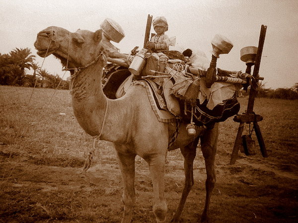 Rabari Kid on Camel, Kutch
