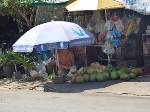 Selling coconuts on the side of a street corner