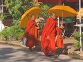 Young Buddhist monks 