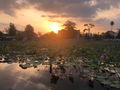 Sunset at Lotus Pind in Kampot