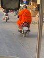 Monks on a moped 