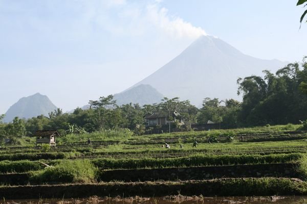 Gunung Merapi 4