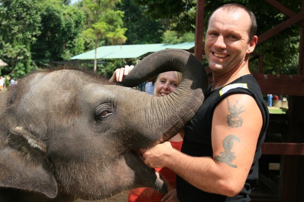 Dad feeding the baby elephant