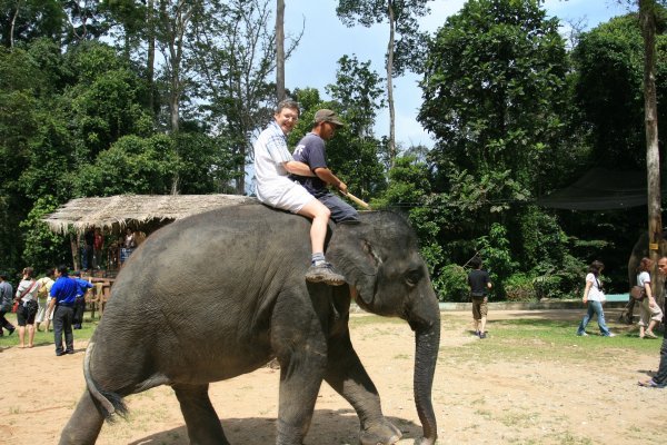 Martin on the elephant