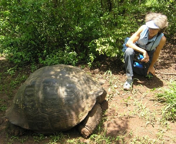Gail with giant tortoise