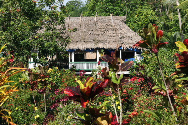 Samoan style housing