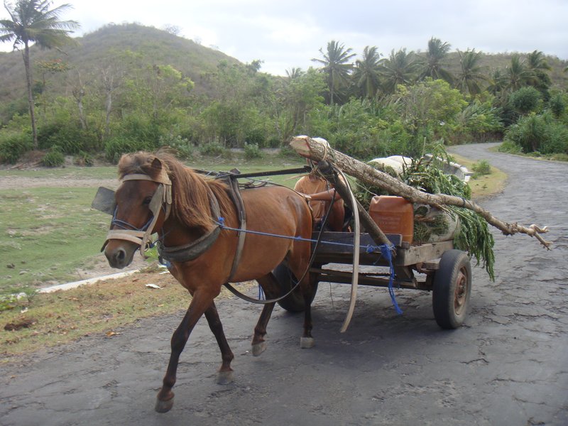 Main mode of transport in Lombok
