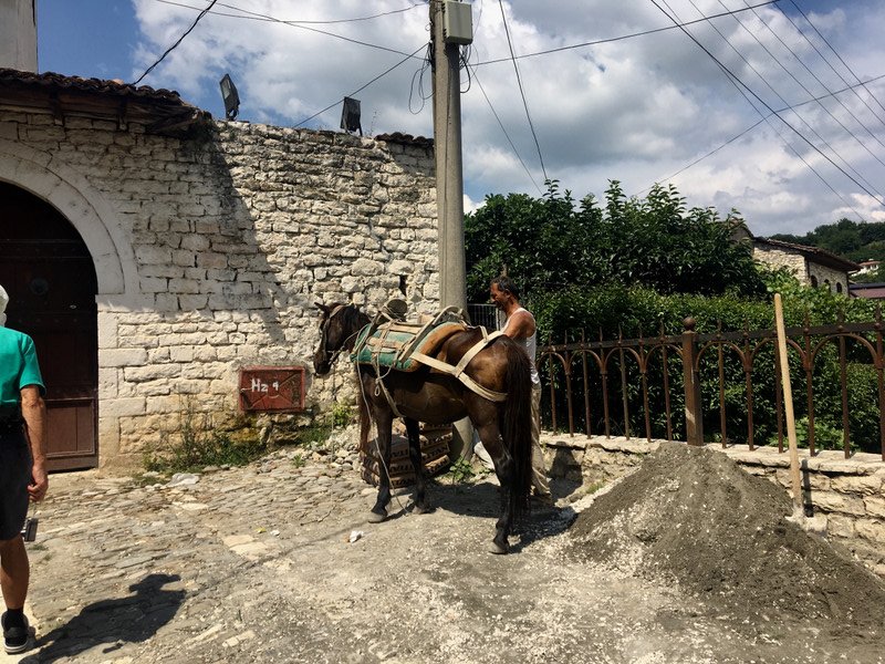 Pony awaiting 100kg loaf of cement