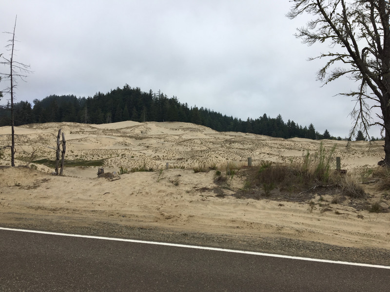Sand on the hillside. 