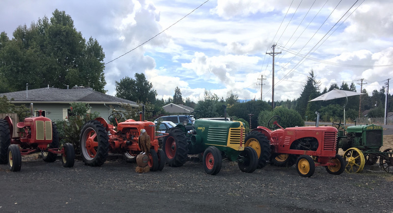 Old tractor heaven.