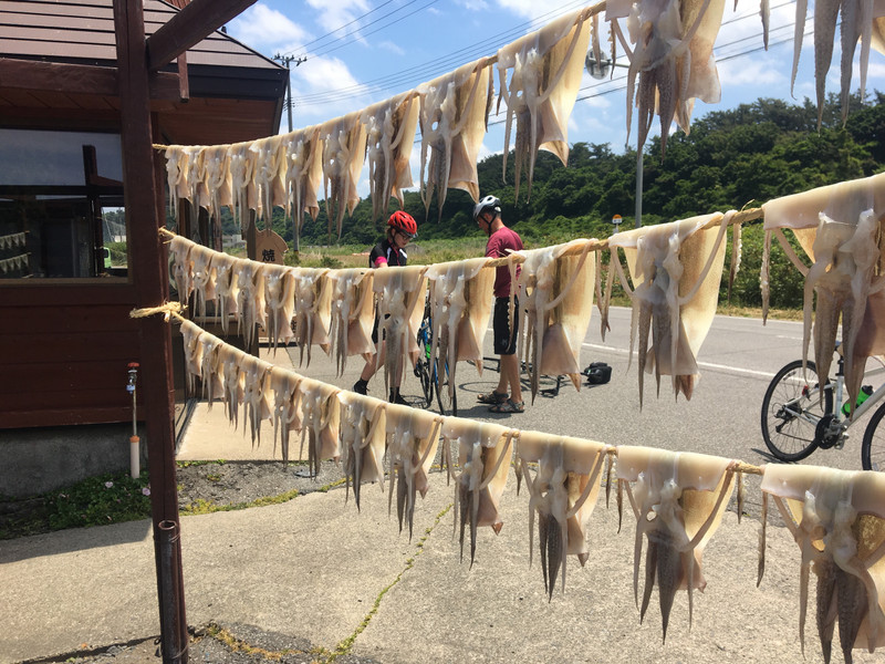 Squid hung out to dry. 