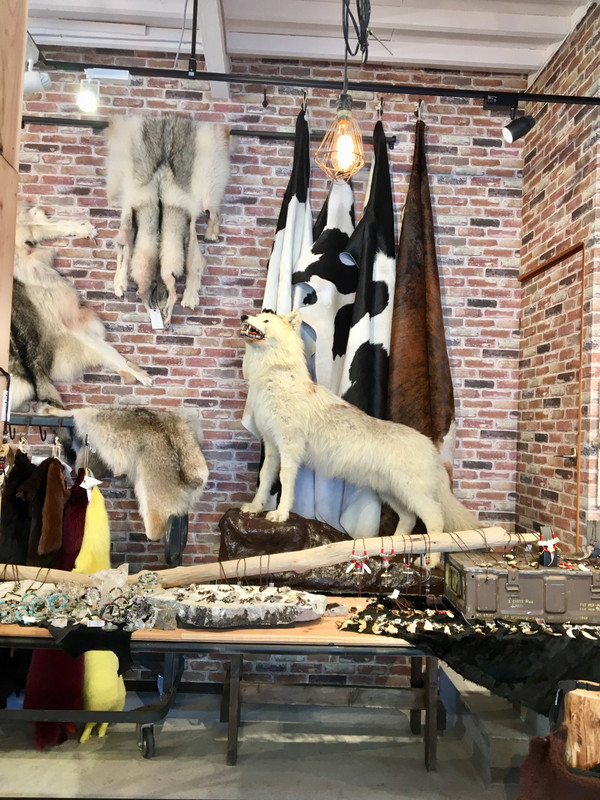 Wolf shop .