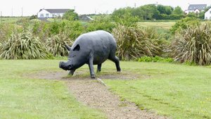 Pig sculpture.