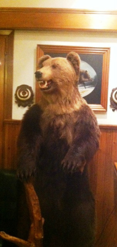 The receptionist Bear