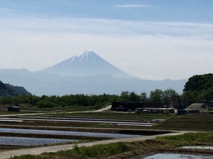 My Fuji