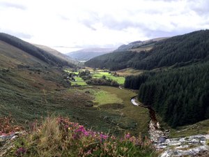 Looking South to Woodenbridge. 