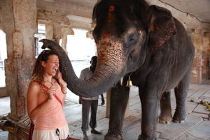 Lex blessed by the temple elephant