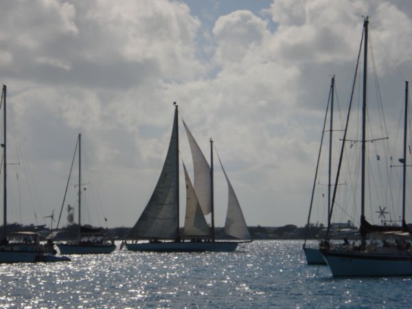 Nina Sailing in Harbor