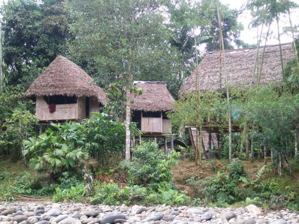 Our Cabanas in the Amazon