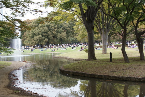 Parque de Harajuku